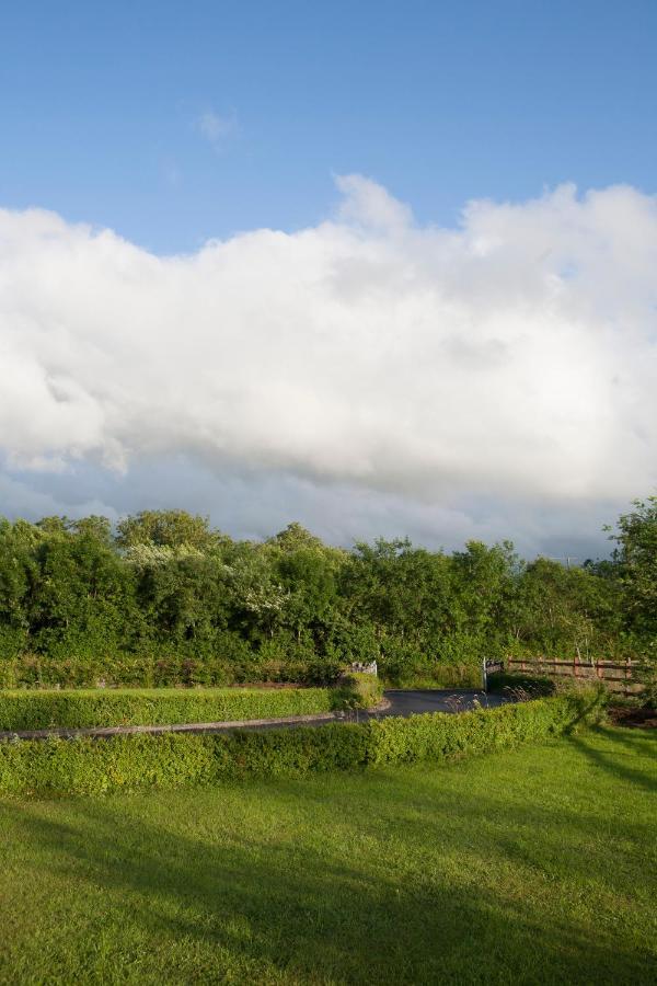 Inviting 4-Bed House In Strokestown Βίλα Εξωτερικό φωτογραφία