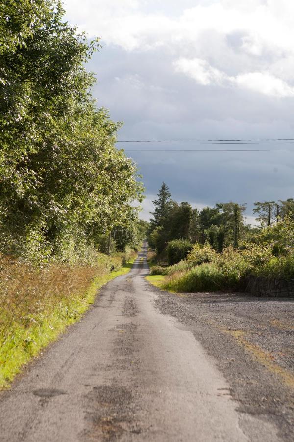 Inviting 4-Bed House In Strokestown Βίλα Εξωτερικό φωτογραφία